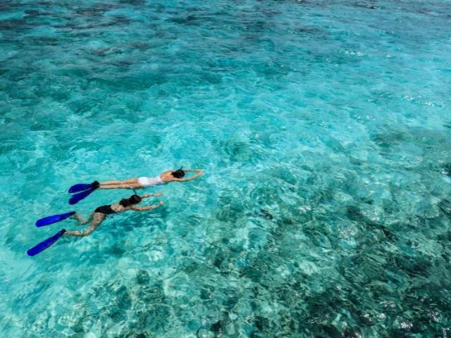 ���d�����V���m�[�P�� �@�����x�̍����C�ցB�C�������ăx�X�g�|�C���g��I�肵�܂��B