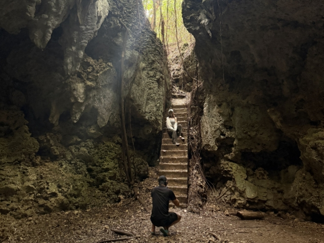 �J�����}�����s�ŗ��̏u�Ԃ��B�e�B���R�̂̈ꖇ���c���B