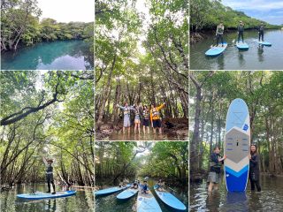 【1組様貸切/3時間/ SUPツアー】マングローブSUPで癒しの時間を!のんびり非日常体験!