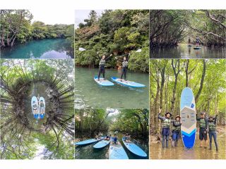 【1組様貸切/3時間/ SUPツアー】マングローブSUPで癒しの時間を!のんびり非日常体験!