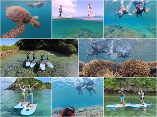 【1組様貸切/半日SUP&シュノーケリングツアー】石垣島の海を半日で満喫!トロピカルSUP&シュノーケリング!