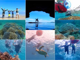 【1組様貸切/半日シュノーケリングツアー】天然の水族館で遊ぼう!ビーチから入るシュノーケリングツアー!