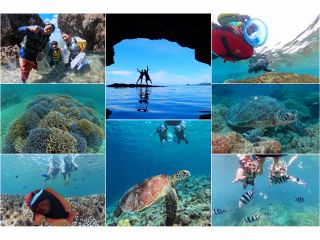 【1組様貸切/半日シュノーケリングツアー】天然の水族館で遊ぼう!ビーチから入るシュノーケリングツアー!