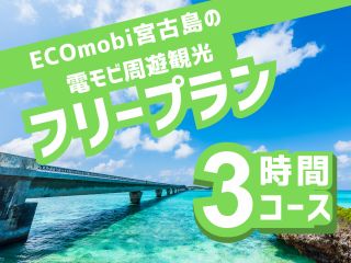 ☆ わくわくの電モビ 宮古島観光フリープラン3時間コース