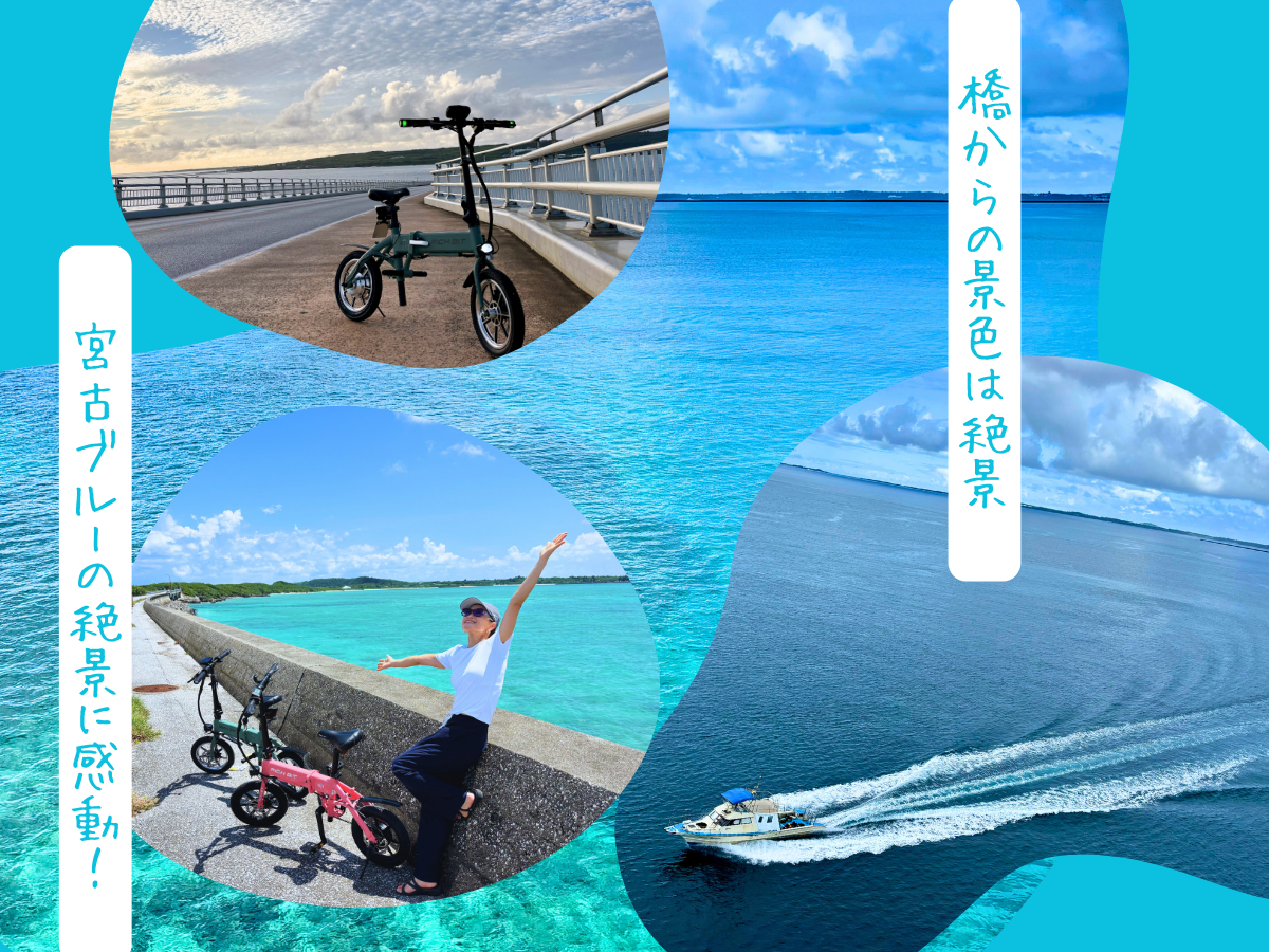  ɗǕ勴̌iFI{Ãu[̐iɊI