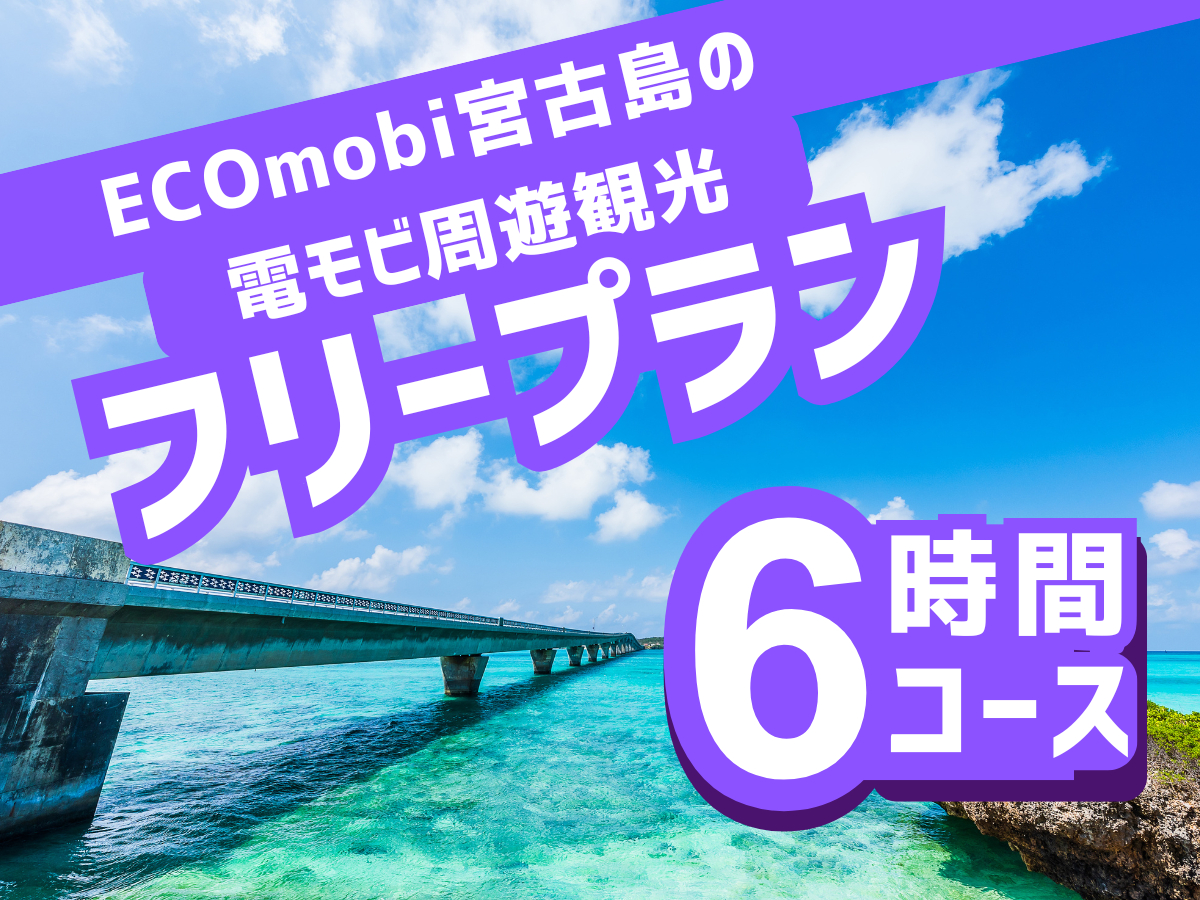わくわくの電モビ 宮古島観光フリープラン6時間コース