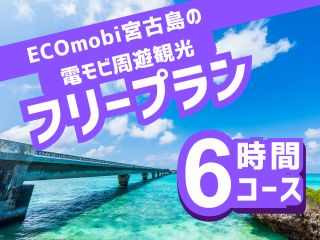 わくわくの電モビ 宮古島観光フリープラン6時間コース