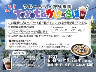 暑い夏から解放され、家族で過ごす特別なひとときを、もっと涼しく、もっと心温まるものにしたい―ブルーベリー狩り農園Toyotaかけらぼ