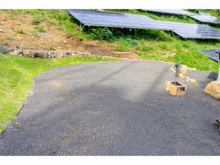 サイト3 ペットOKのサイトです。炊事場に近くBBQに便利です。