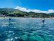 穏やかな相模湾をSUPで散歩。プロのガイドが同行するので初めての方も安心。