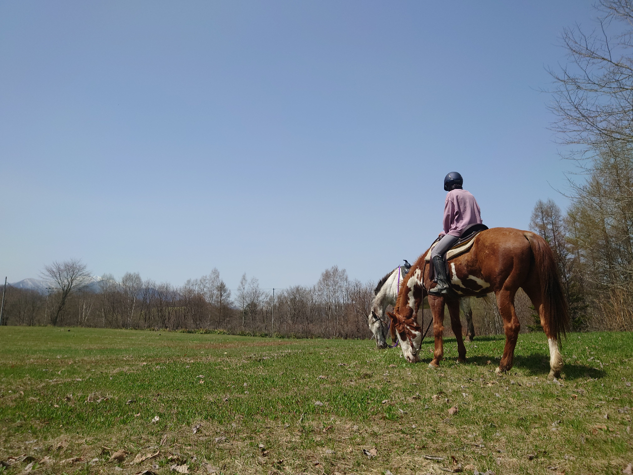 �y�K�x�����Ȃ����x��