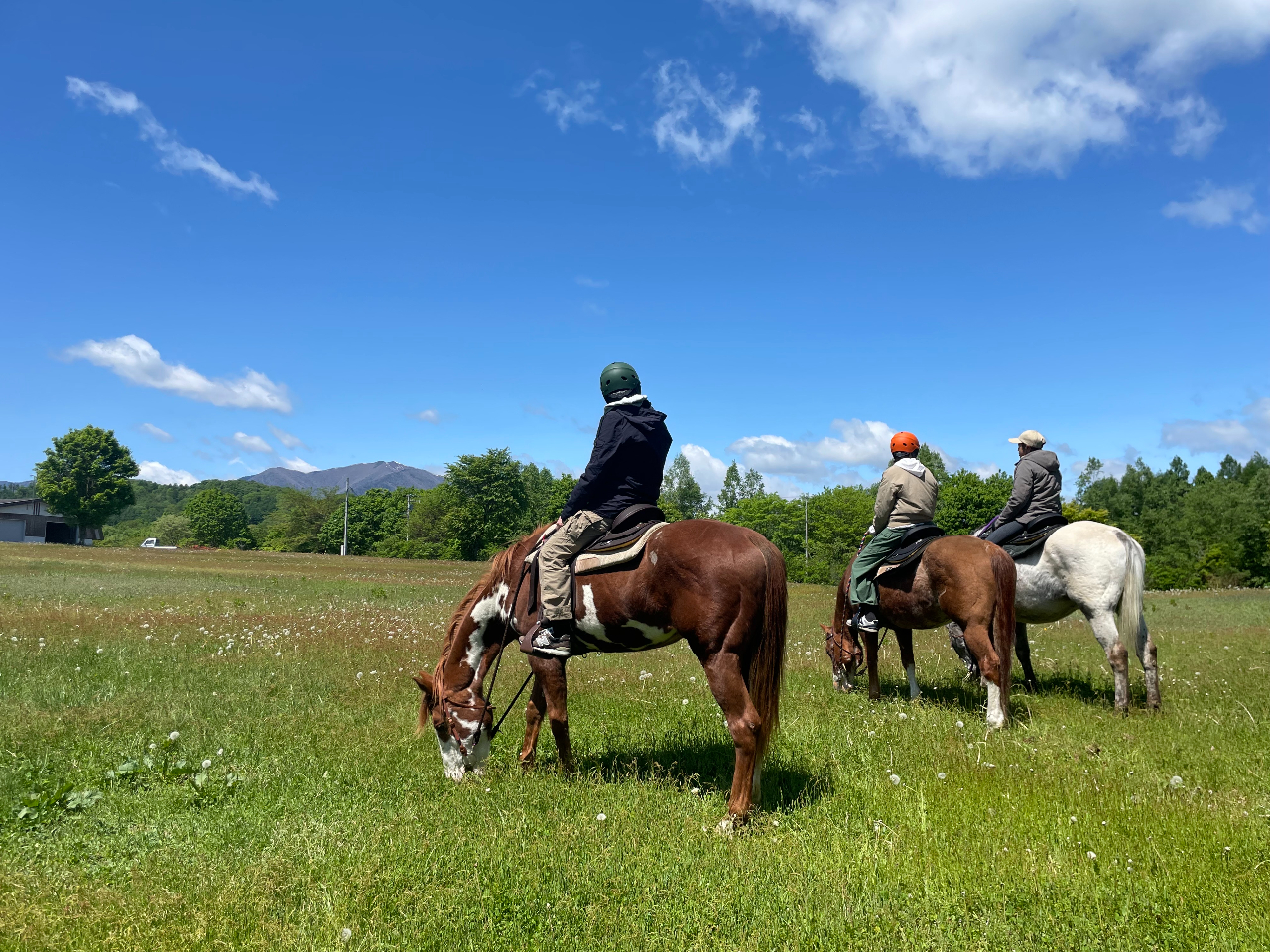 【ポロシリトレッキング】ポロシリ自然公園を馬に乗って散策♪初めての方歓迎♪<ファ...