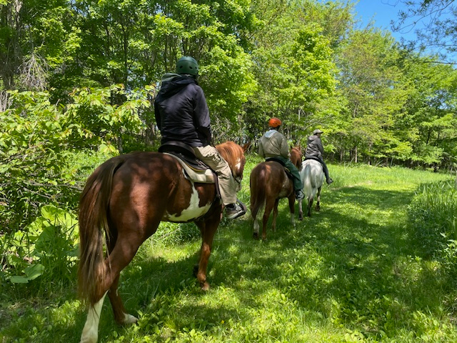 【ミニトレッキング】ショートコース♪初めての方歓迎♪<ファミリー・カップル・女性...