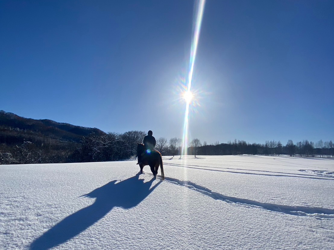雪が降れば雪の中を乗馬できます♪