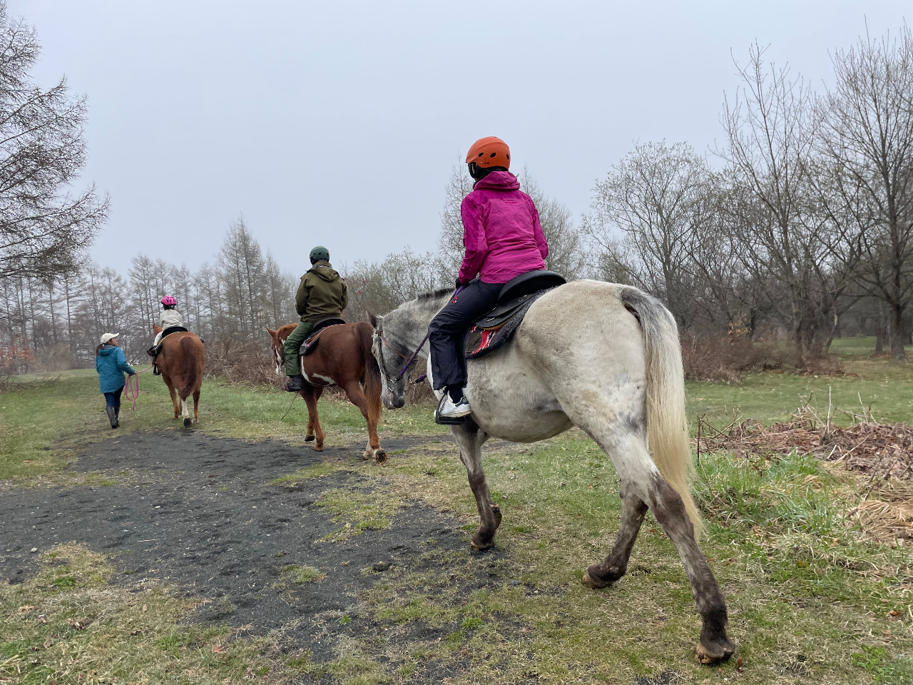 g140cmqlɂ̓X^bt̃T|[gt