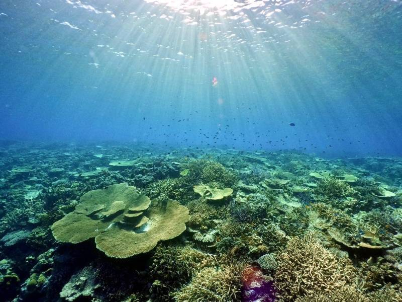 ꌧw̓xւ閼̊C𖞋i܂