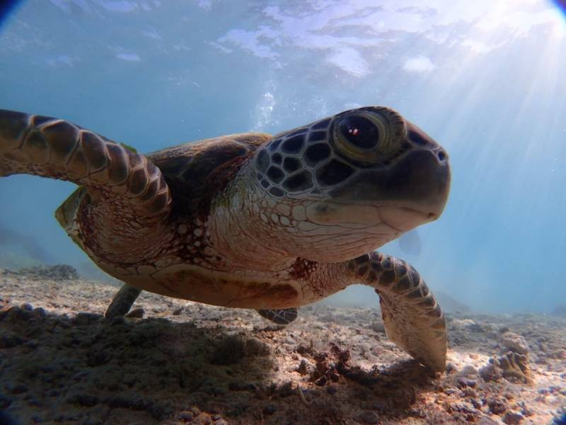 ^ǂ΃E~Kɏo邩EEE