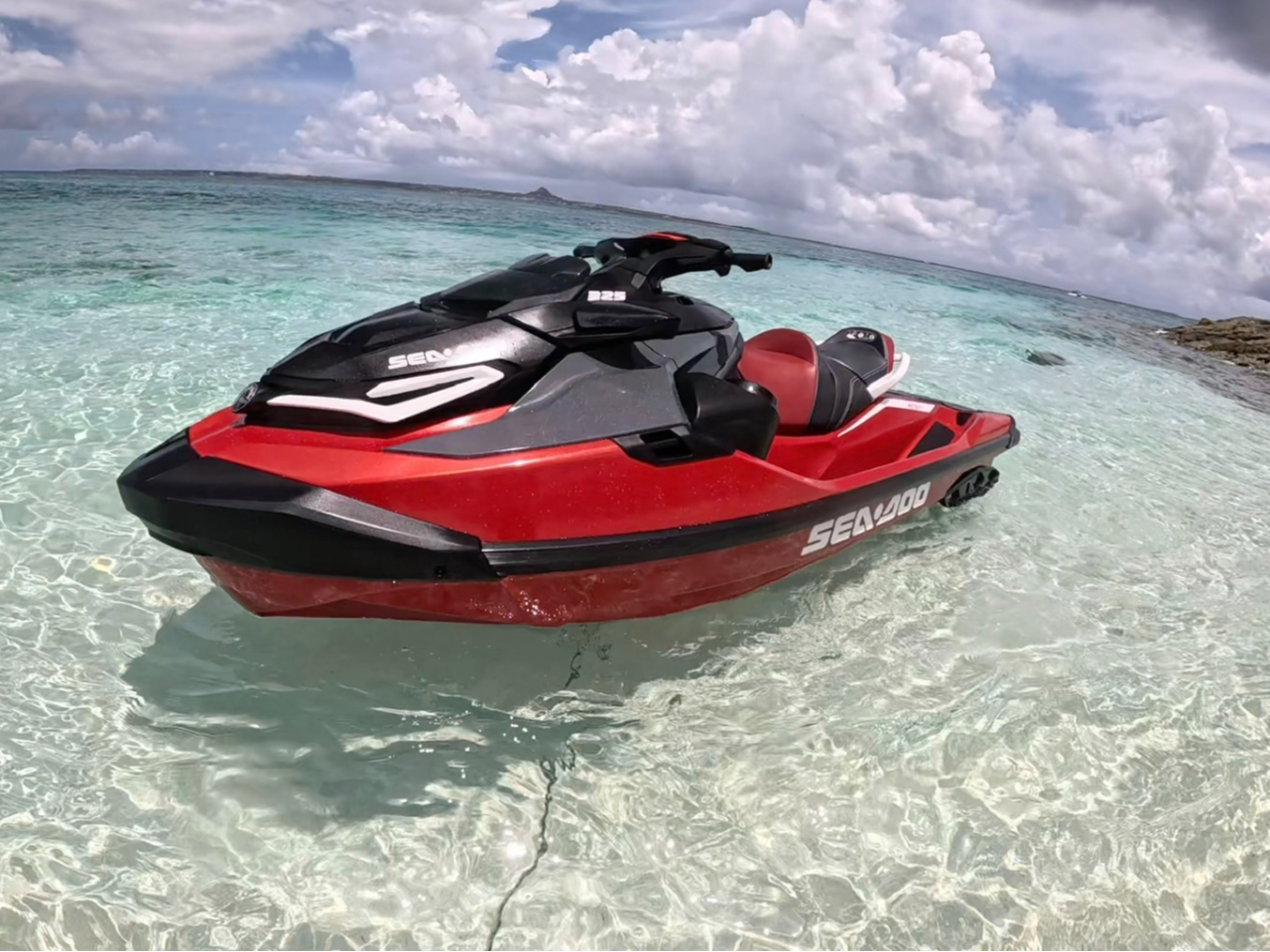 Ƌ͂̕gŉ^]\sŐiX|bgւē