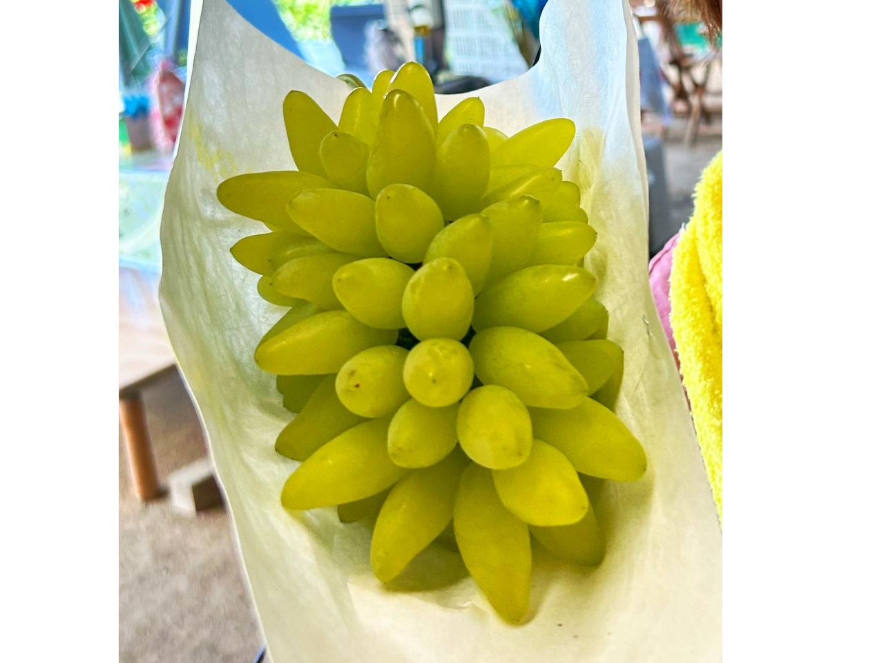 �s��Ȃǂł͏o���Ȃ��󏭂ȕi����������܂��I