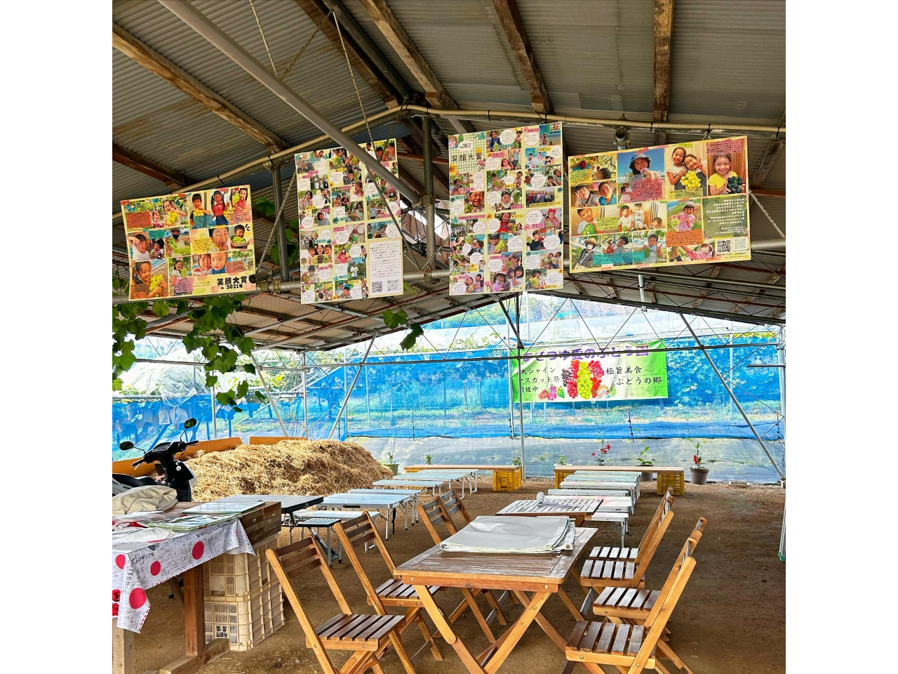 \t␸ZȂǂ͂̂ԂǂŁB