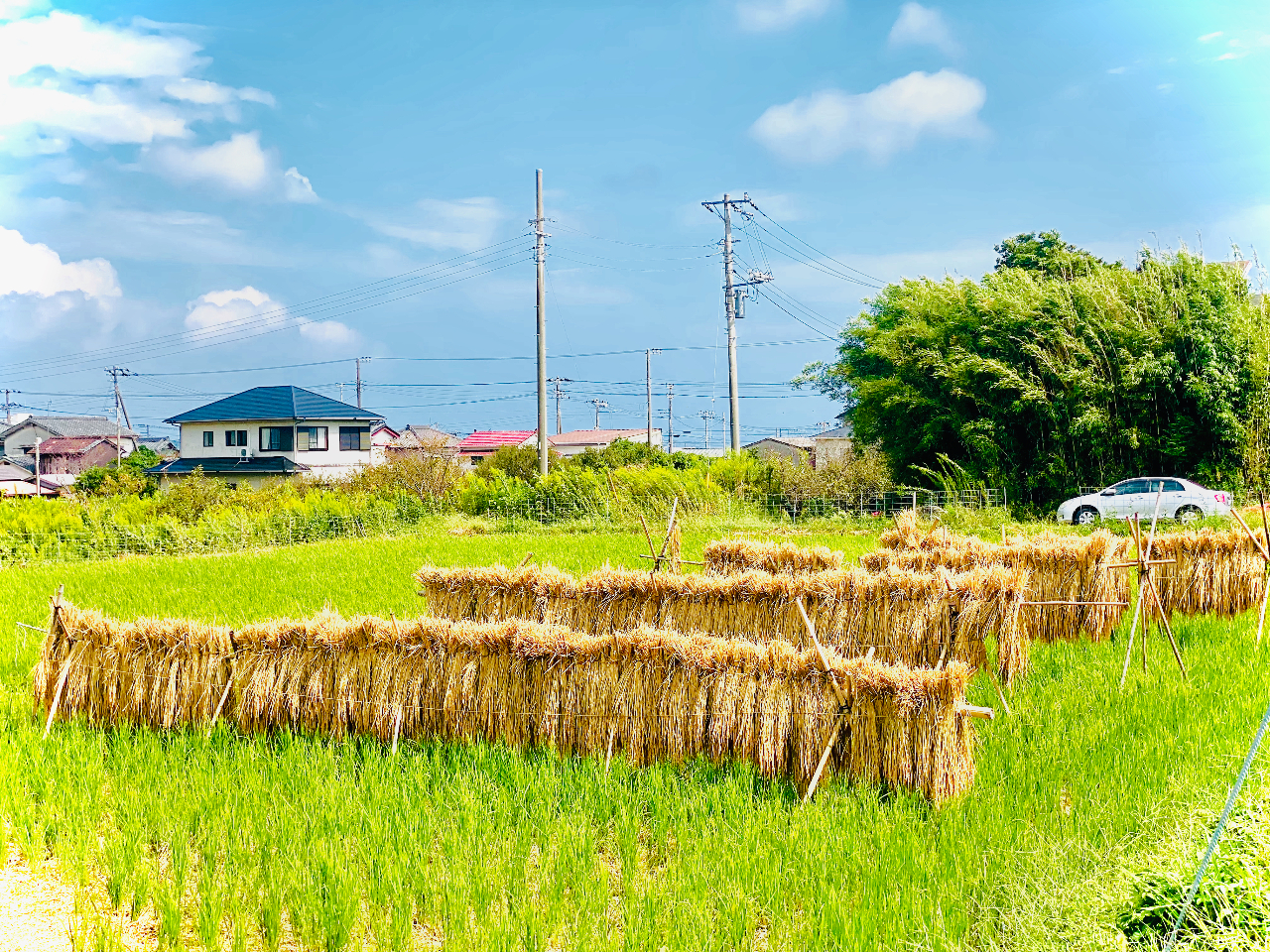 ͂i͂jB2TԂقǓVAĂ̂ł