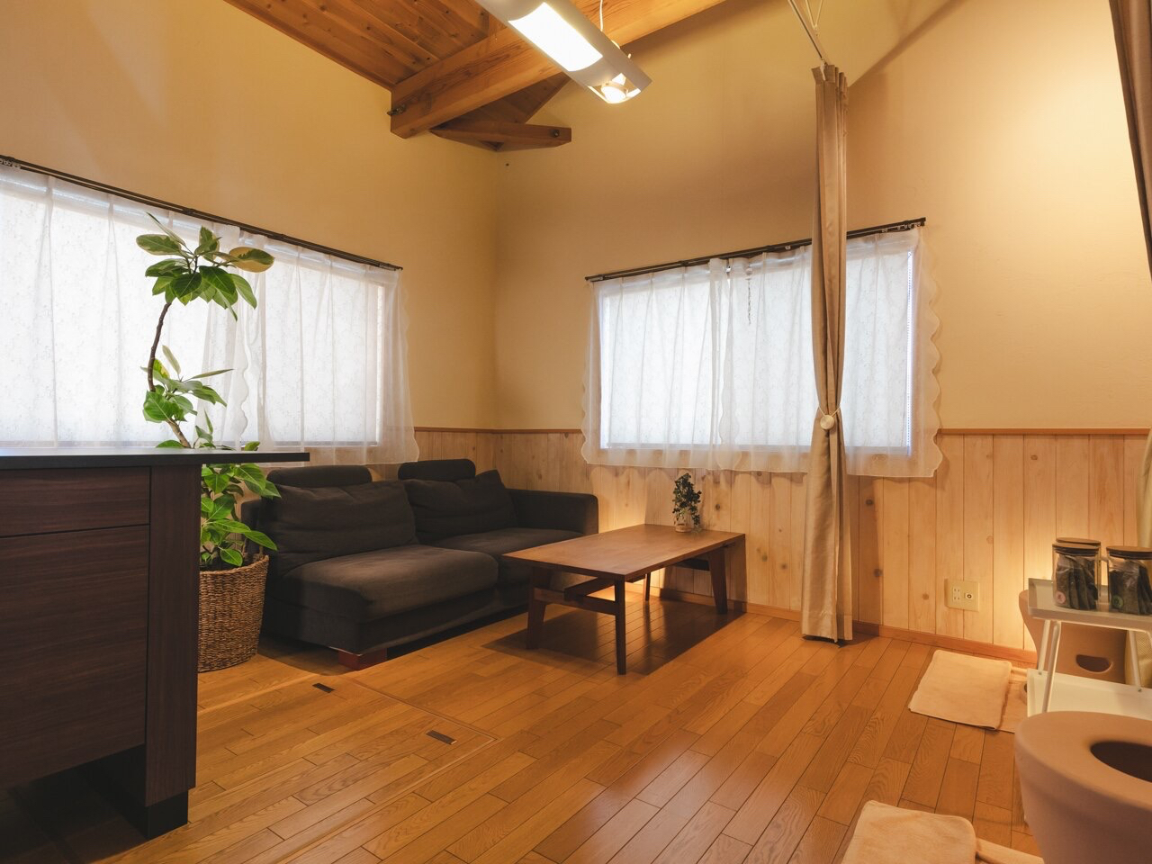 X́AR̉؂ɂĂ܂BJ[eJƎlG܁X̎R̎płBԂ20ɂ͒ǐ쉷򂪂܂B