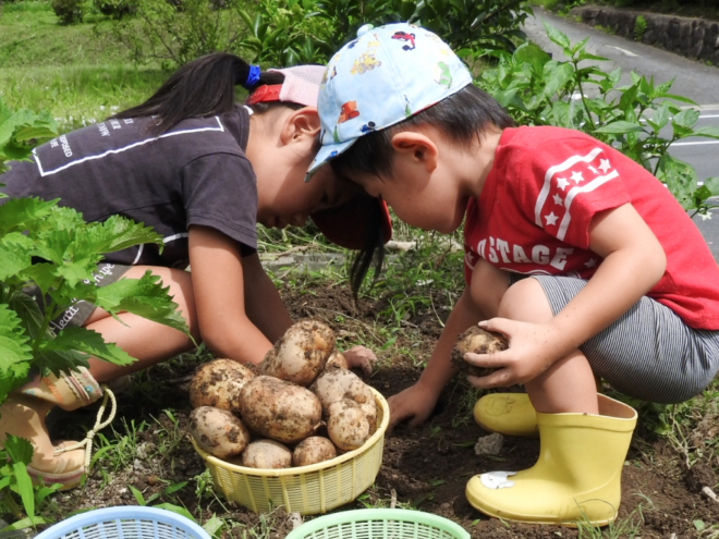 【岐阜・可児】岐阜近郊で野菜作りから販売までできる≪農業体験≫〈ファミリー・グル...
