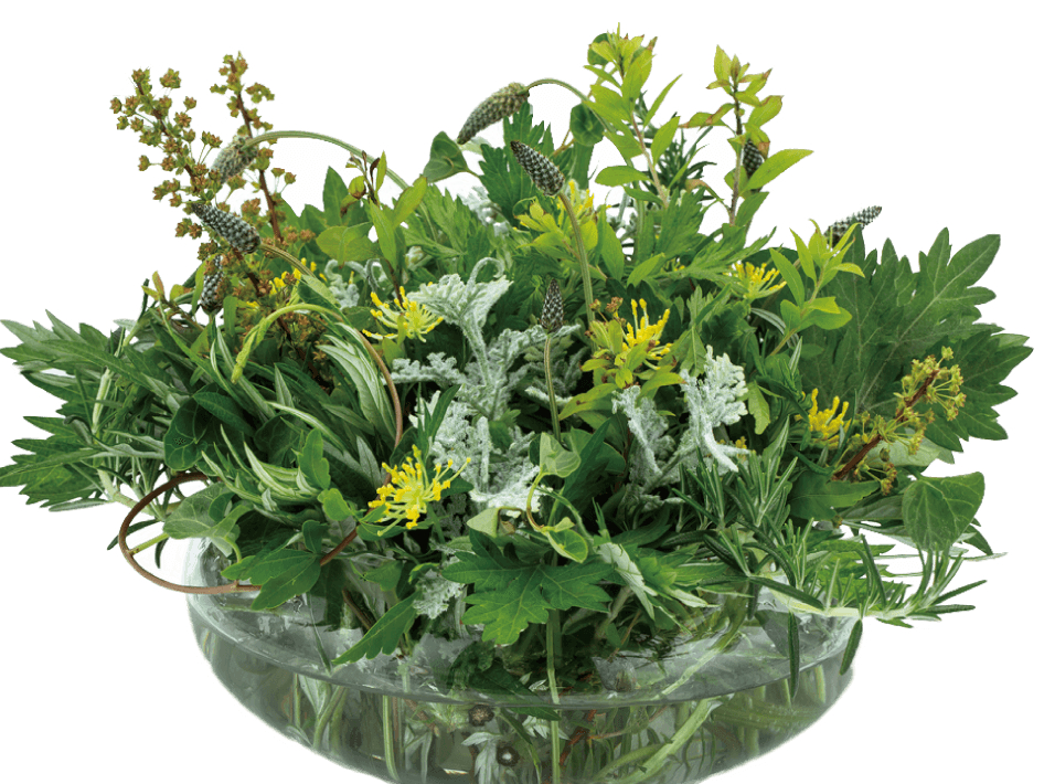 こちらのコースでは、10種類のハーブをブレンドした『ファインハーブ』を使用!ハーブに含まれている7割が女性特有のお悩みに◎また、ハーブの香りは癒され度満点!