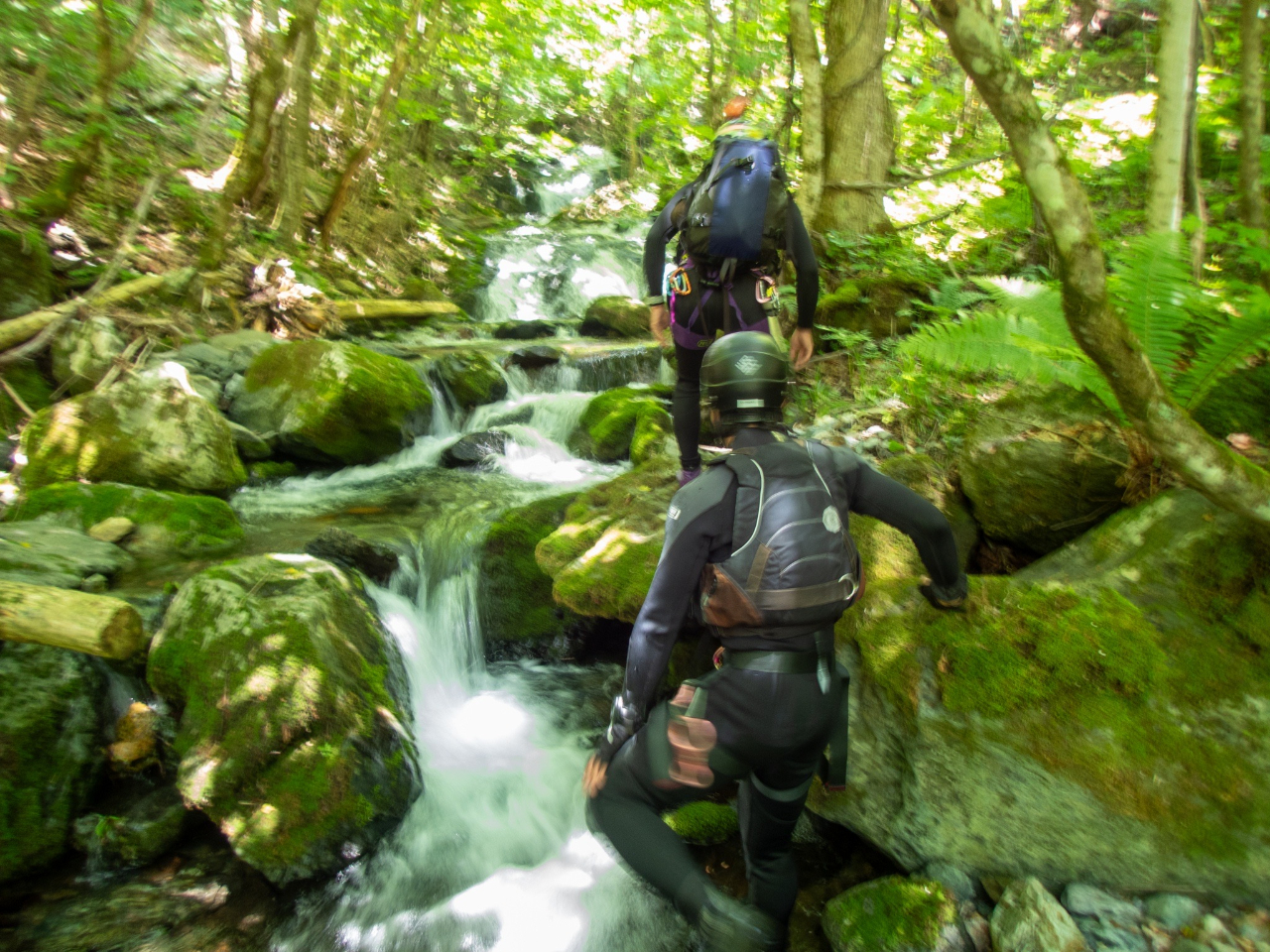 ۂނƐ𒭂߂ȂAĂƑ̉cI