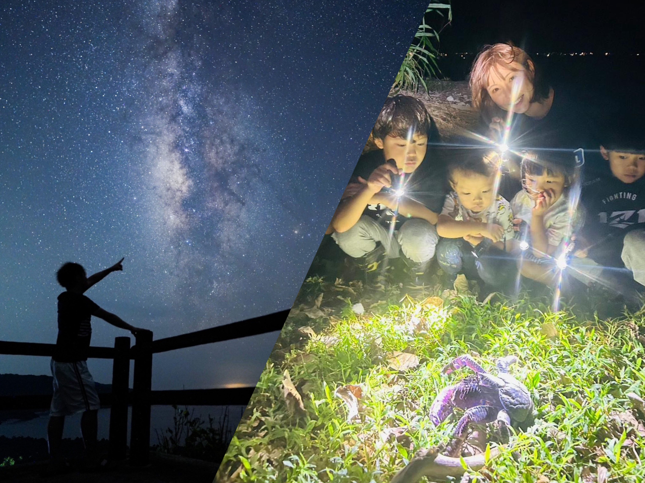 むんぶリゾート Mumbu Resortの割引プラン