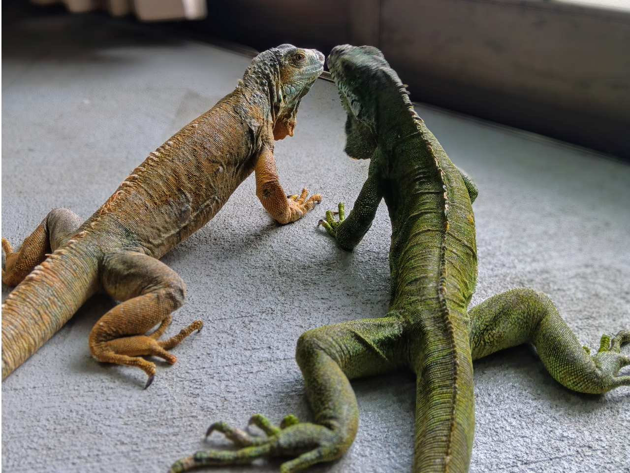 ŔCOAĩCO&Ai悭O`Ă̂ŉ^ǂΏo邩!!