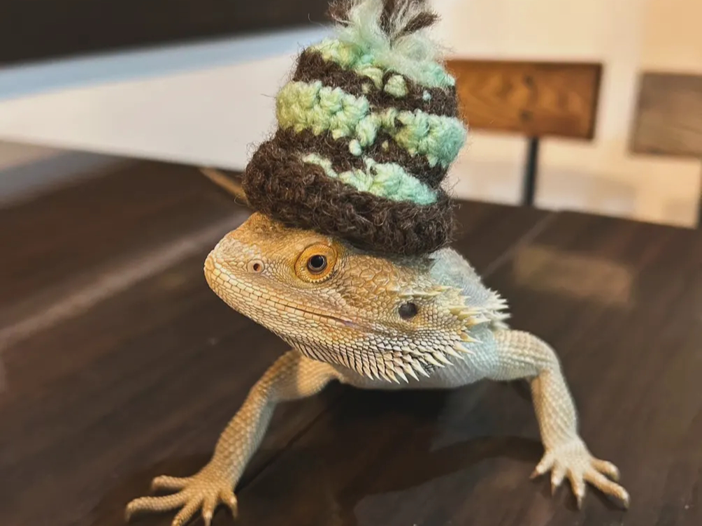 tgASqQgJQ݂̍ؖ͂Gɏ悹Ăӂꂠ܂