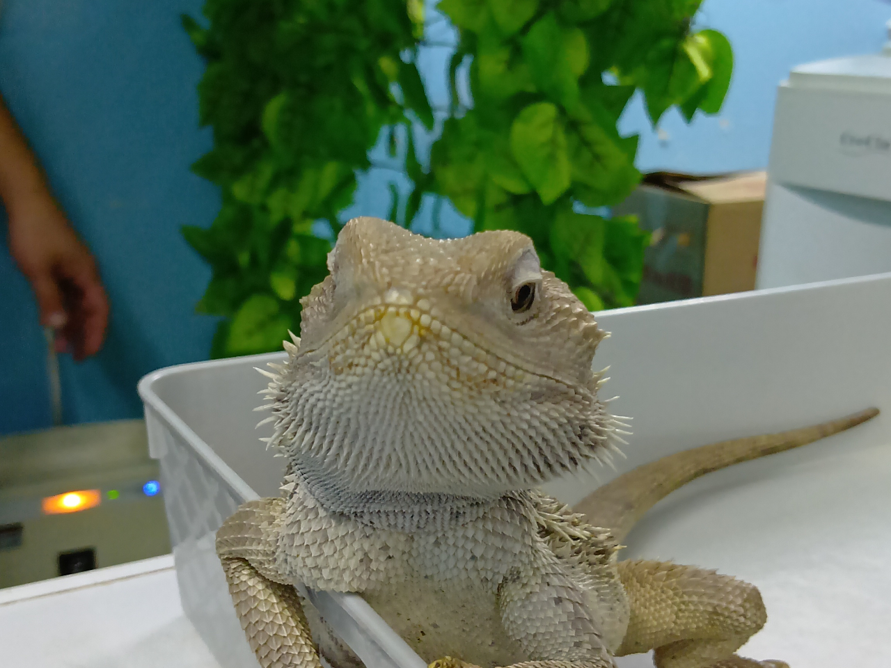 �t�g�A�S�q�Q�g�J�Q���������ł���I�I