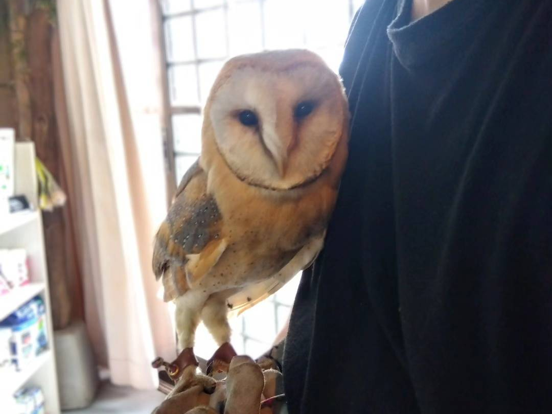 �t�N���E�́w�͂�؂񂿂��x�������[�I�I��悹�̌�(�ʓr����)���ł����Ⴄ��