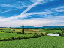 パッチワークの丘