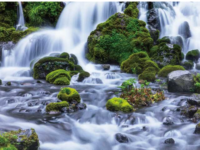 札幌駅付近出発/50-7000-13】春爛漫！「蝦夷富士」羊蹄山を眺めながら