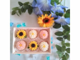 7・8月体験レッスン(ジニア・スカビオサ・ひまわり)