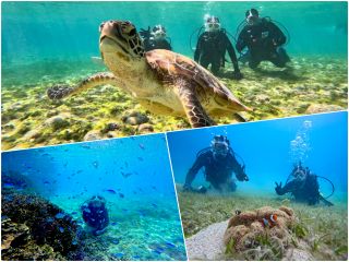 ダイビング風景