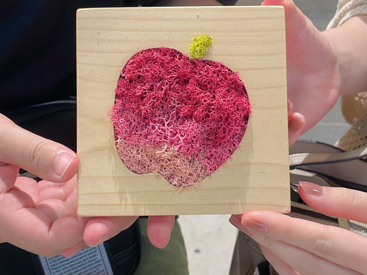 \oYS^{[hGlŒr܂S𐧍삵Ē܂BS^͍݌ɐ؂̉\܂BזB