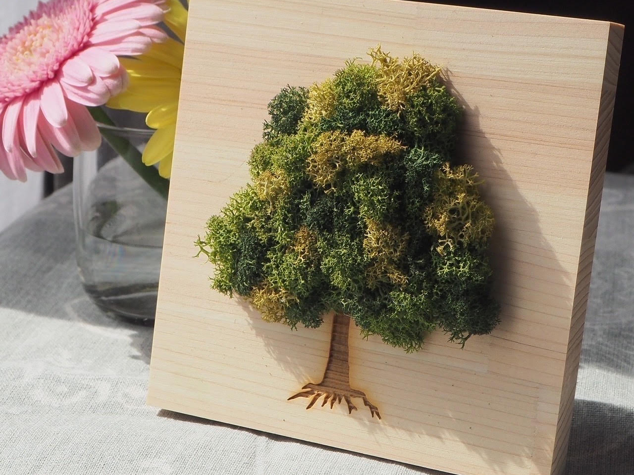 ~jXc[G؂̊^fށqmLB  TCY12cm~12c