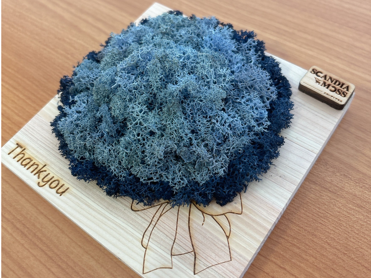 �̌����b�X���k�Q�l�J���[�G���x���_�[�u���[�E�N���V�b�N�u���[�l