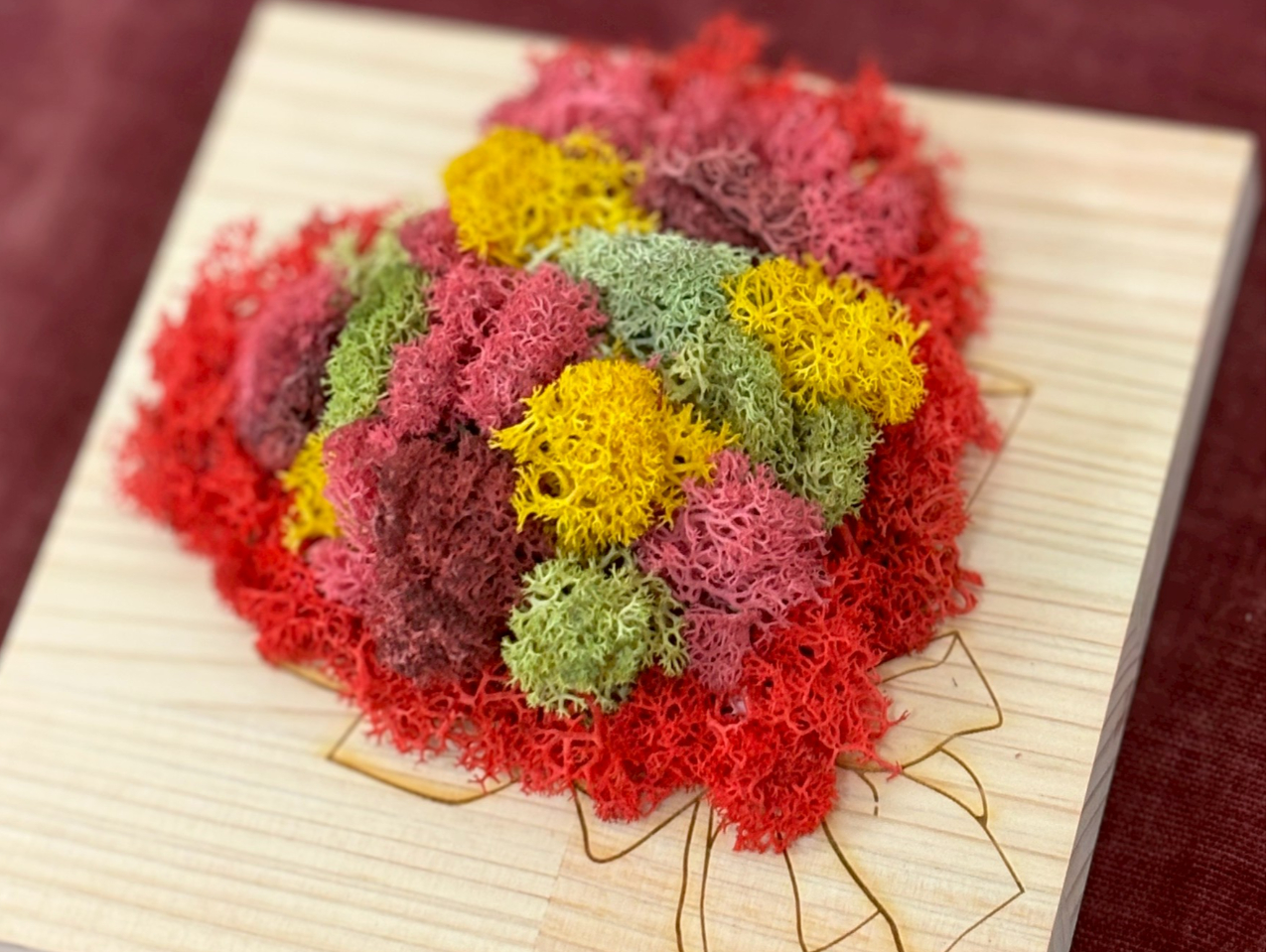 �n�[�g�^�̃��X�u�[�P