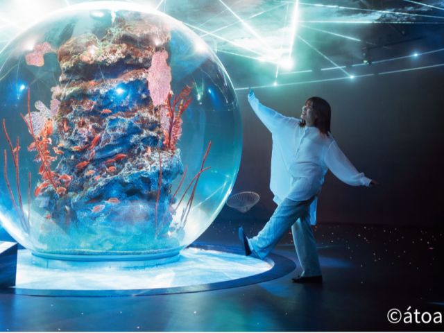 △国内最大を誇る球体水槽(水槽名:AQUA TERRA)