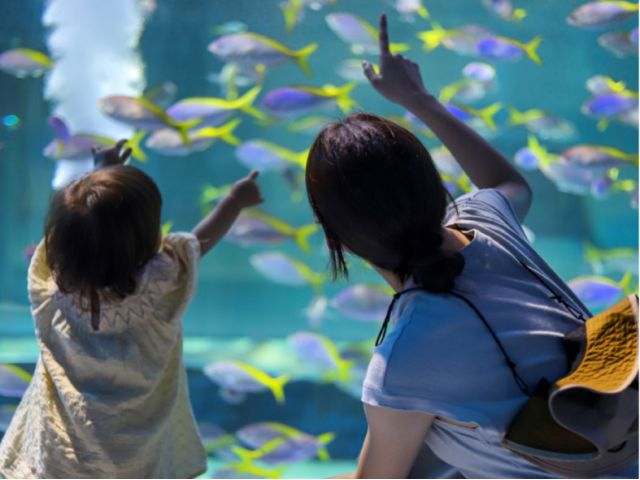 △大人1名につき、幼児(3歳以上)1名無料です