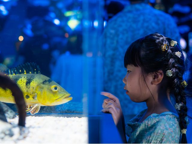 △大人1名につき、幼児(3歳以上)1名無料です