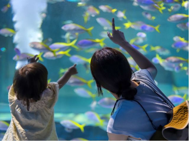 △大人1名につき、幼児(3歳以上)1名無料です