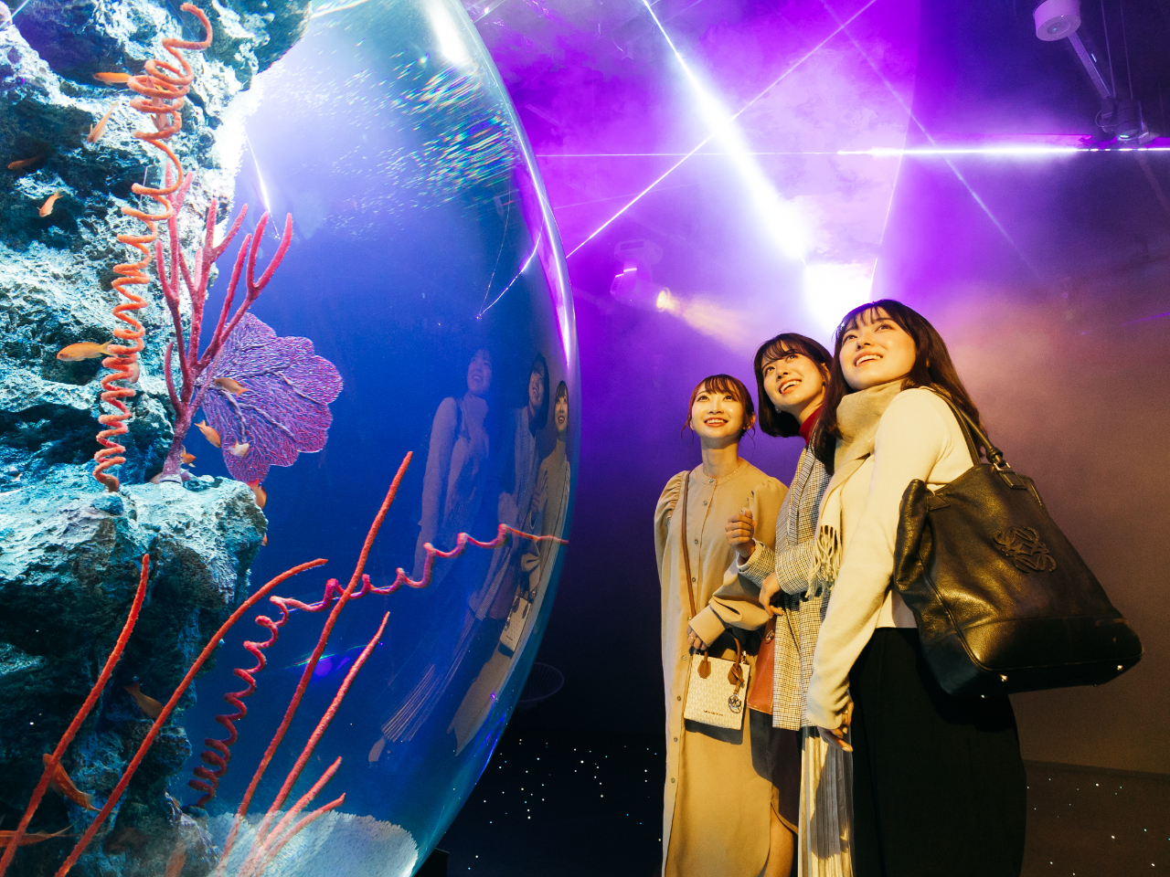 �����{�ő勉�̋��̐��� 3�K PLANETS