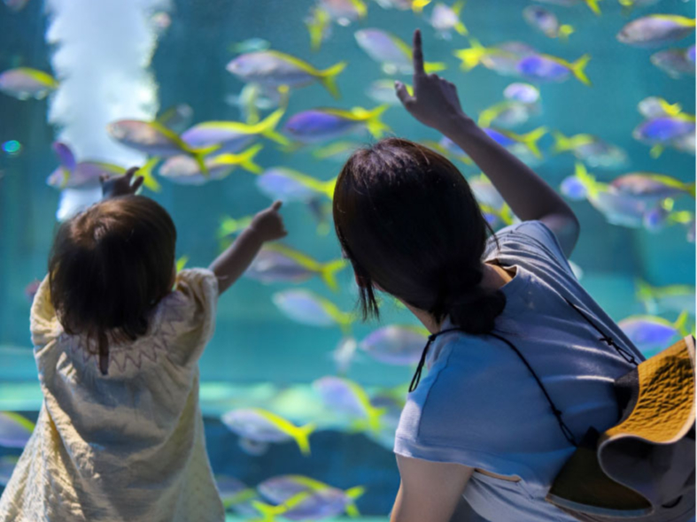 ����l1���ɂ��c���i3�Έȏ�j1�������œ���\��