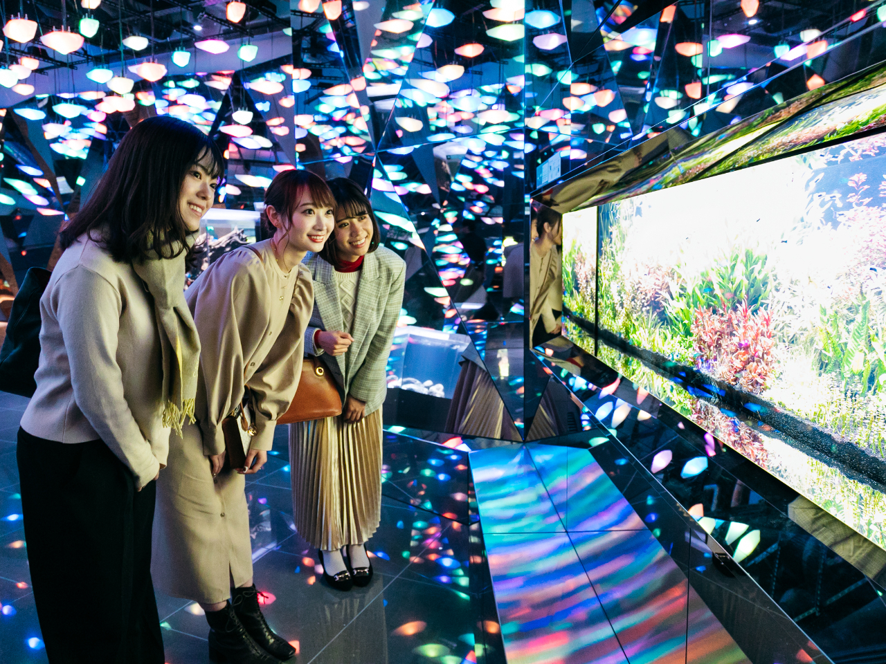 ��CAVE �͂��܂�̓��A