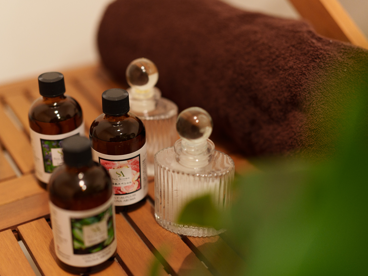 ZtE̗pBxExqlD݂ɒĂ܂Bނ̃A}A̓̋CŃE̍Ił܂B